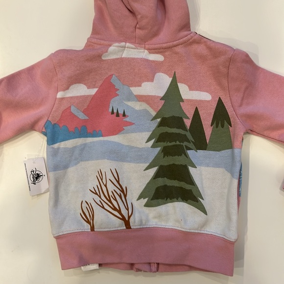 NWT Disney Sweatshirt, 2T, and Hat (Youth) currently sold in Disneyland Jan 2024 - Picture 15 of 16